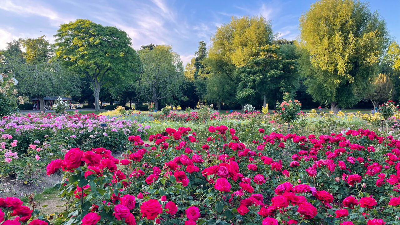 Botanical Gardens in Belfast
