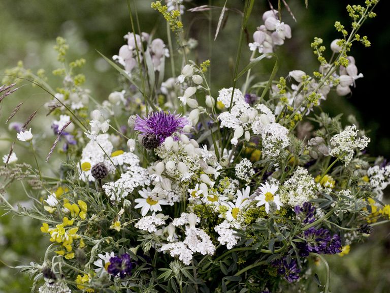 Vase mit Blumen