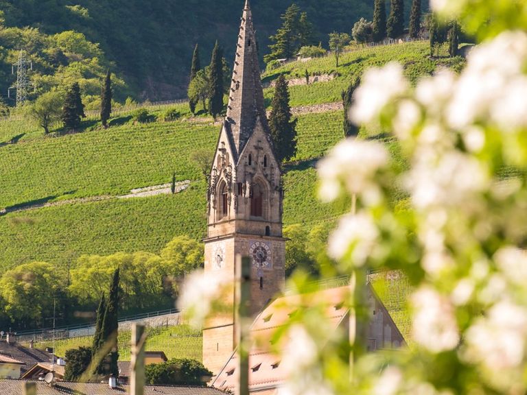 Pfarrkirche Tramin mit Apfelblüte_(c) TV Tramin-Antie Braito