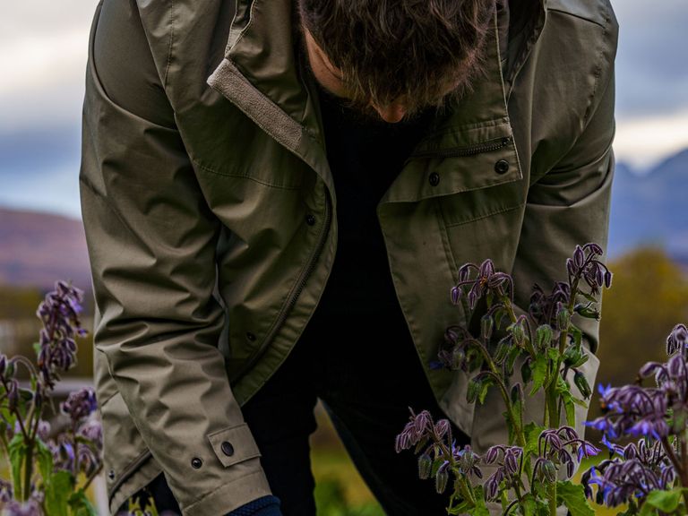 Grzegorz Elsner sammelt Blumen und Kräuter
