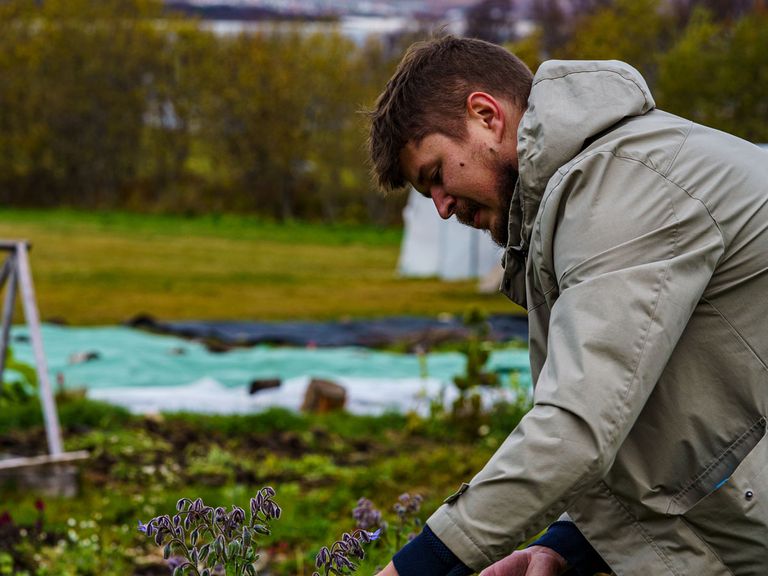 Grzegorz Elsner sammelt Zutaten rund um Tromsø