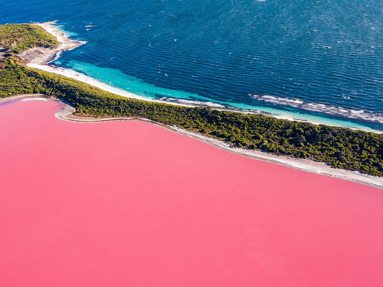 pinkfarbenes Wasser des Lake Hillier und blaues Wasser der Großen Australischen Bucht