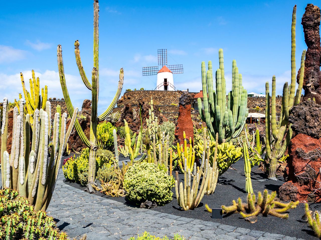 Jardín de Cactus mitsamt der Mühle von Guatiza, Lanzarote