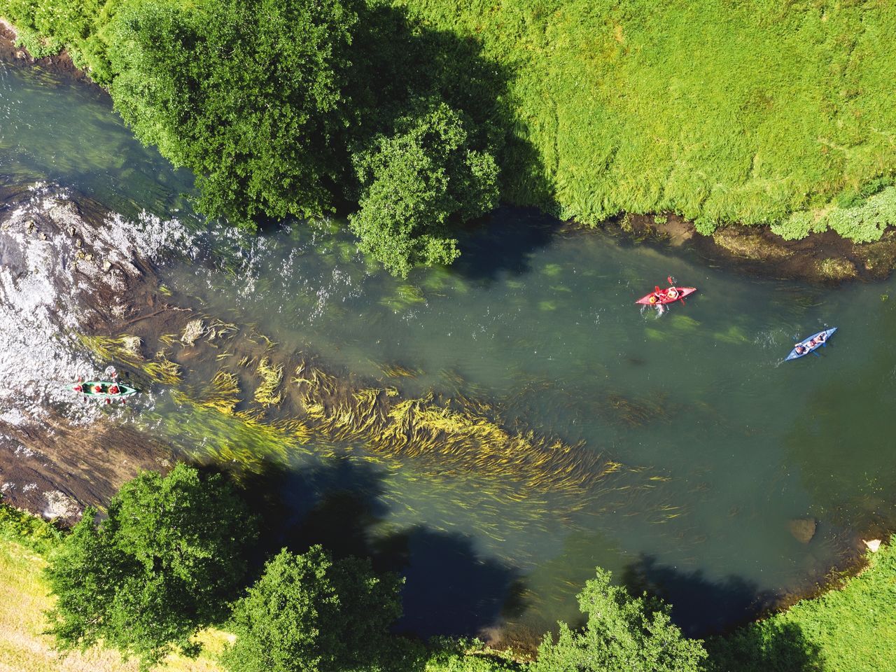 Grüne Flussufer im Wiesenttal