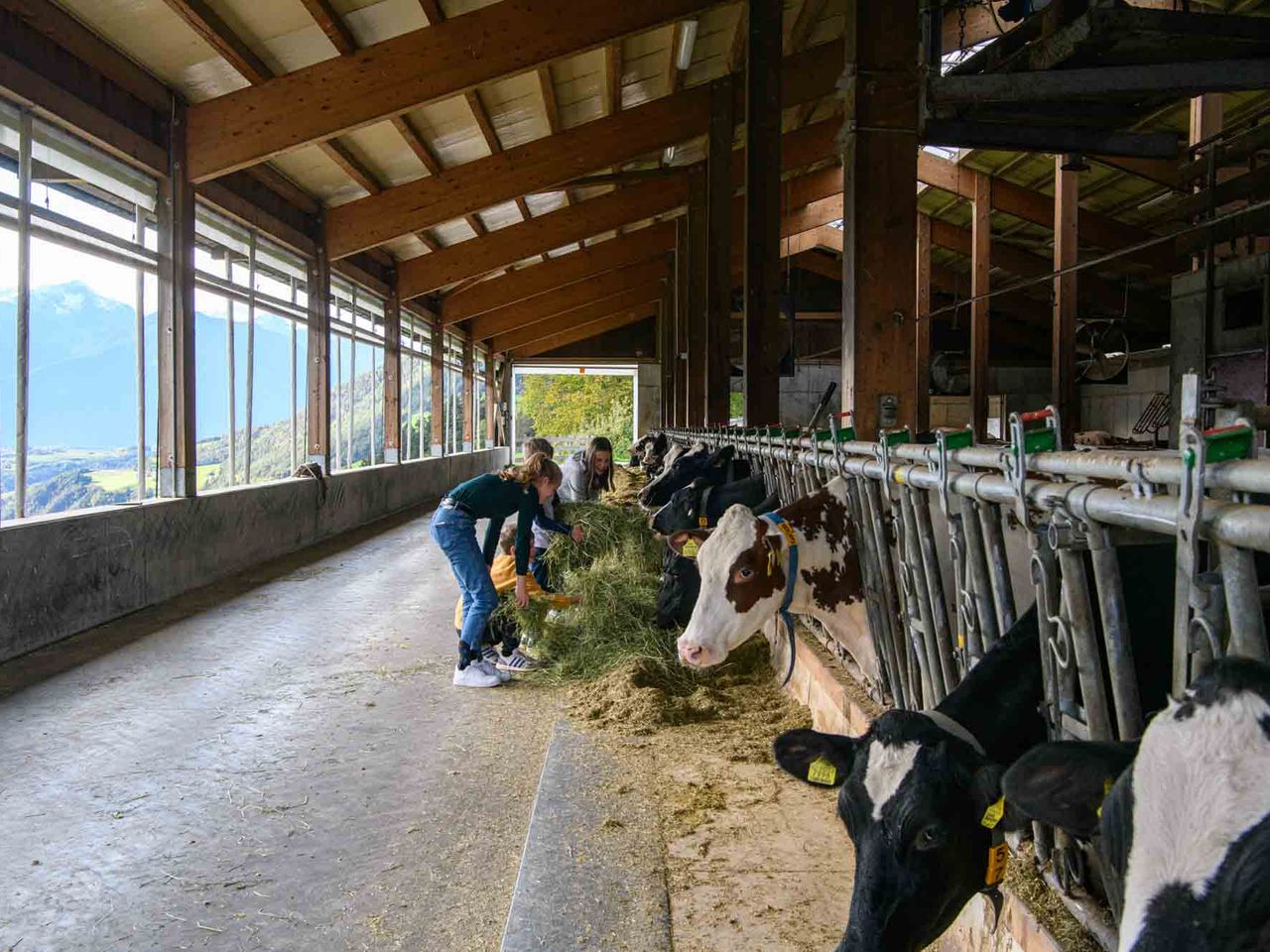 Bauernhof Urlaub in Südtirol