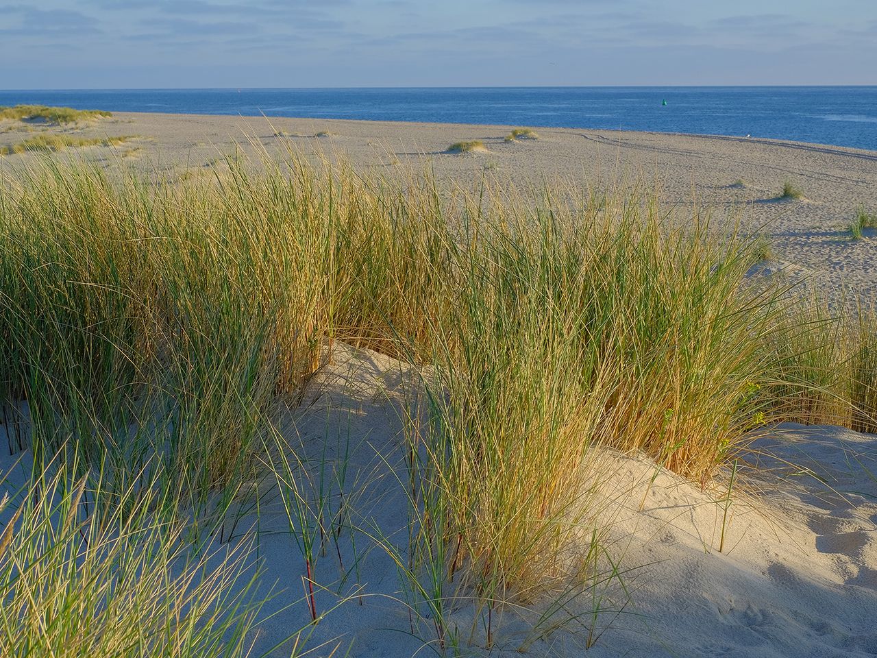 Ellenbogen