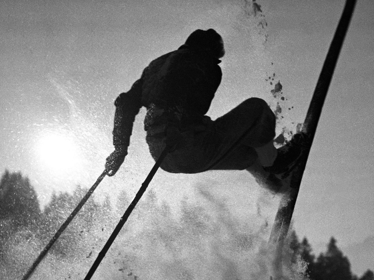 Ski-Freestyler