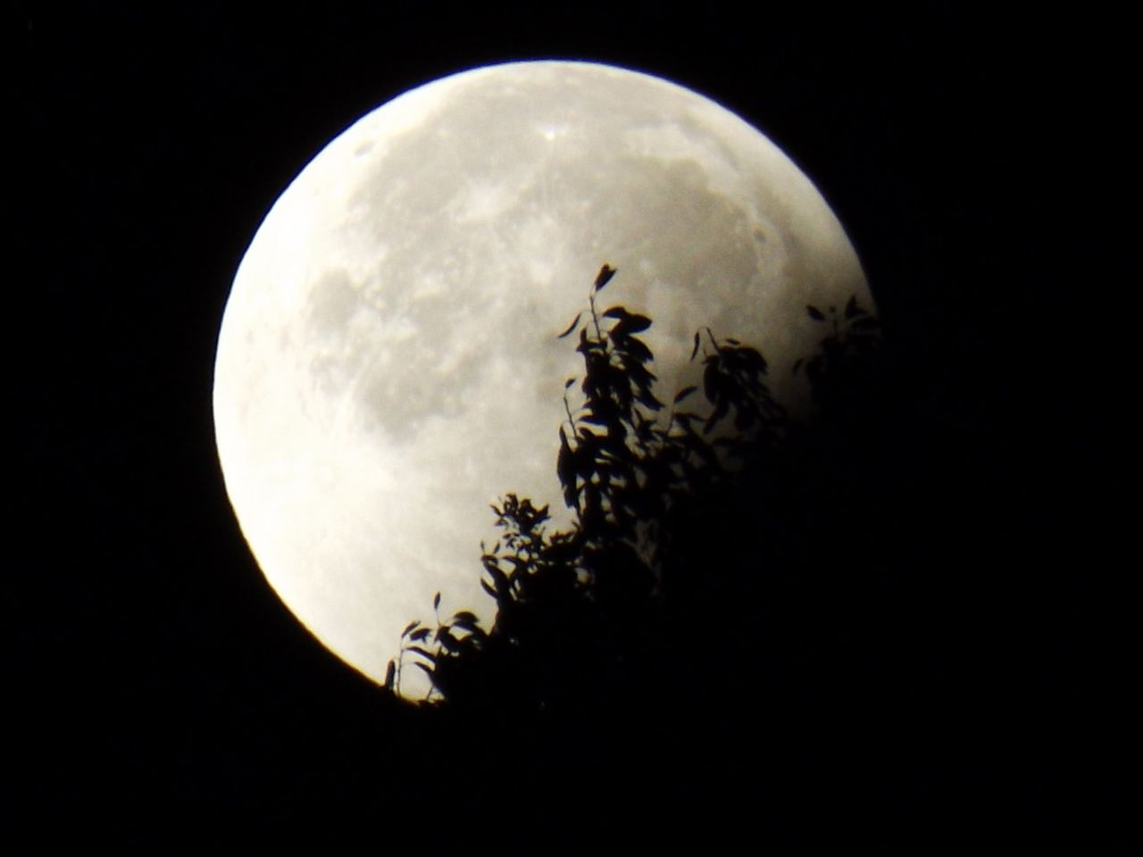 Supermond in Deutschland 2024