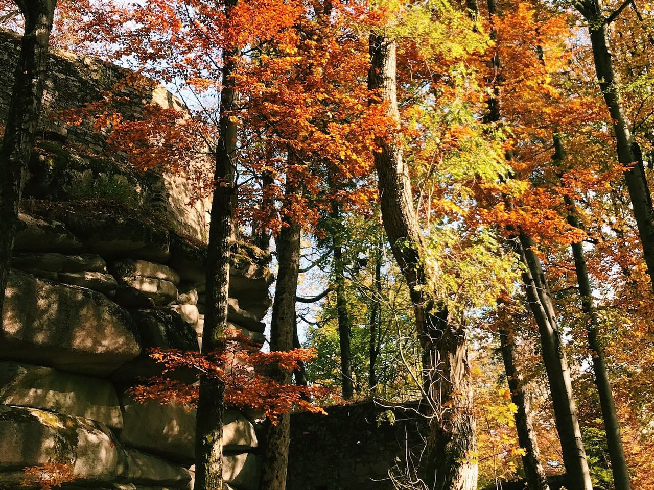 Franken Fichtelgebirge