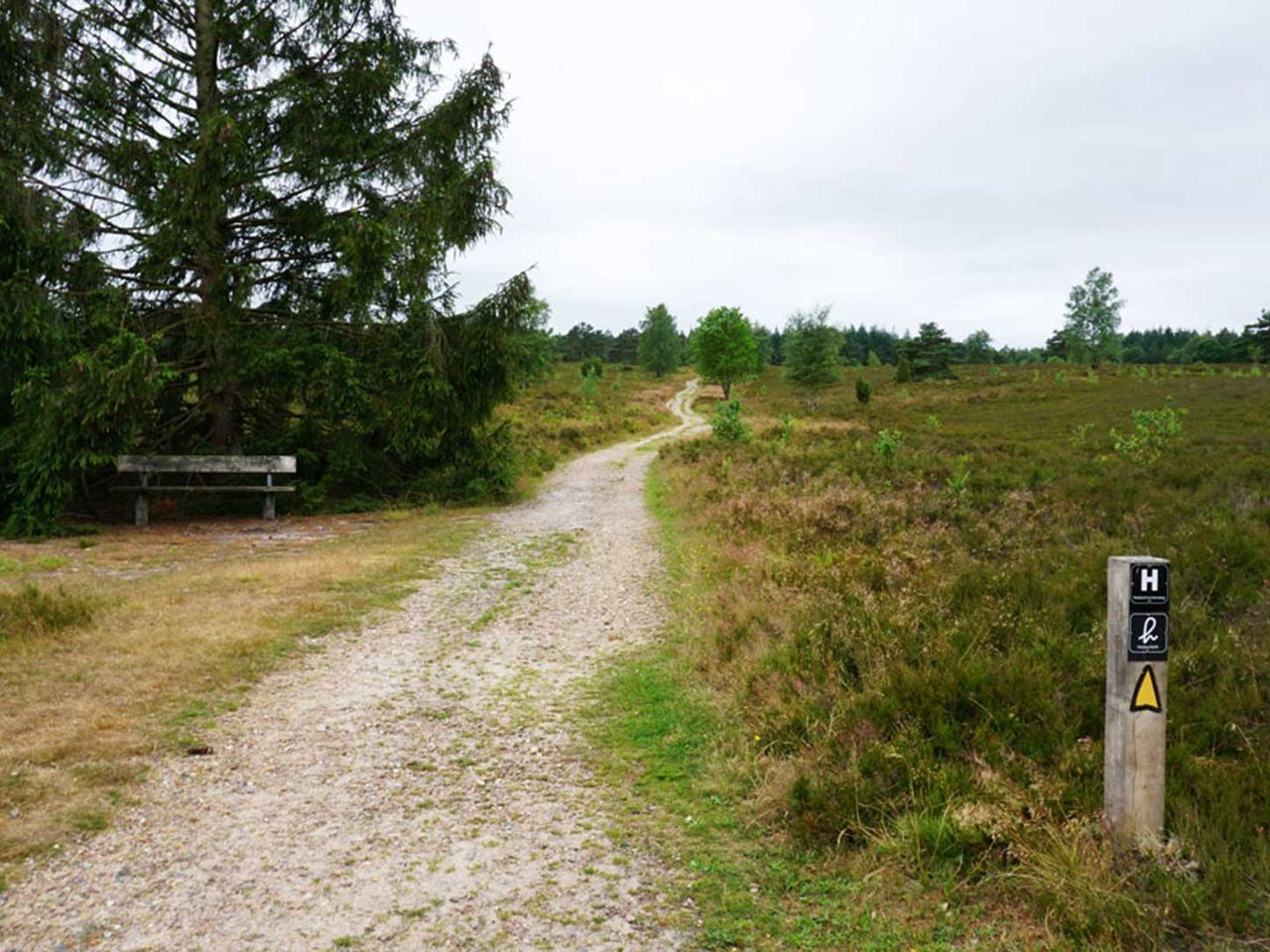 Heideschleife, Lüneburger Heide, Wandern in Niedersachsen