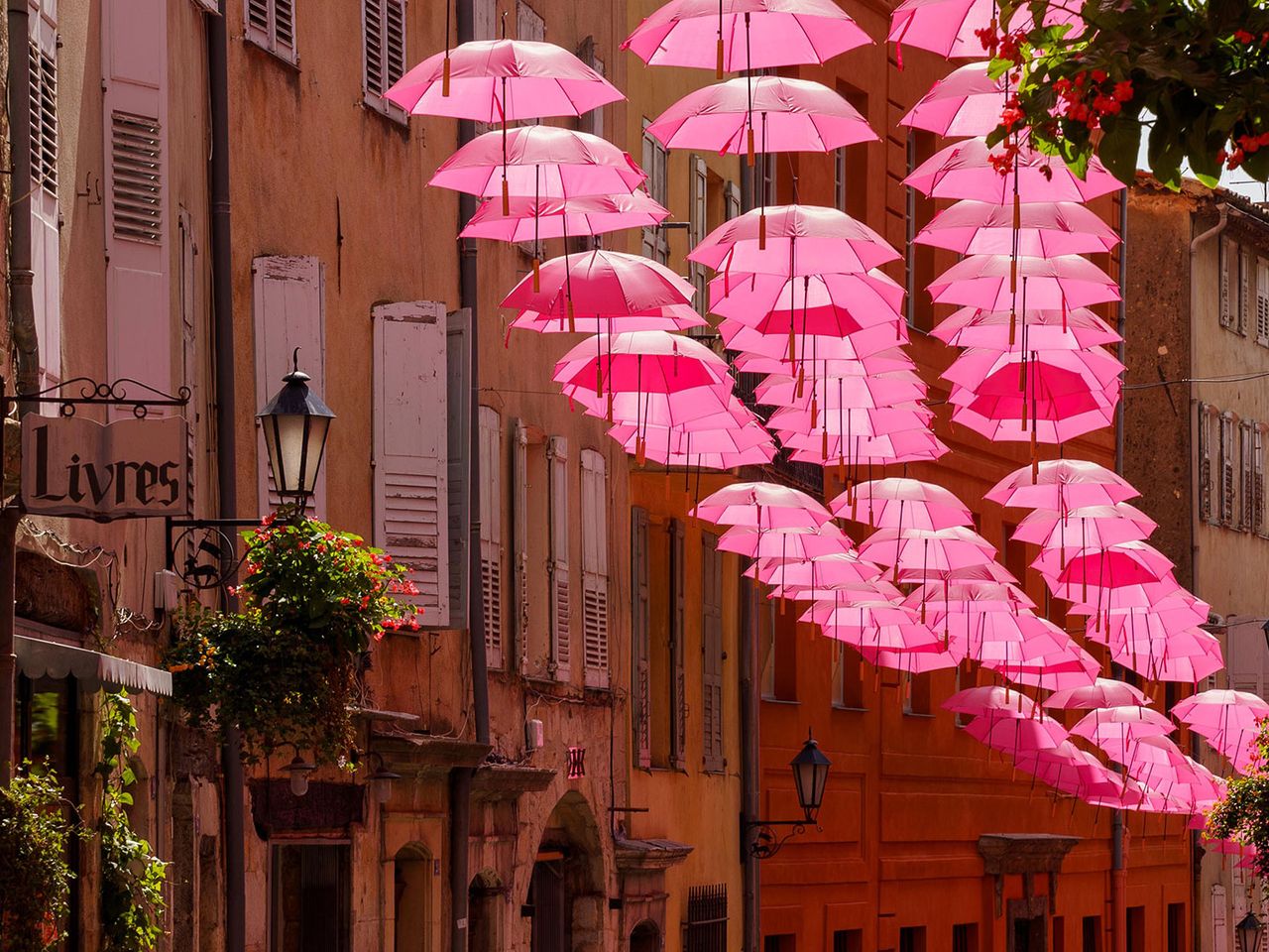 Pinkfarbene Regenschirme in Grasse