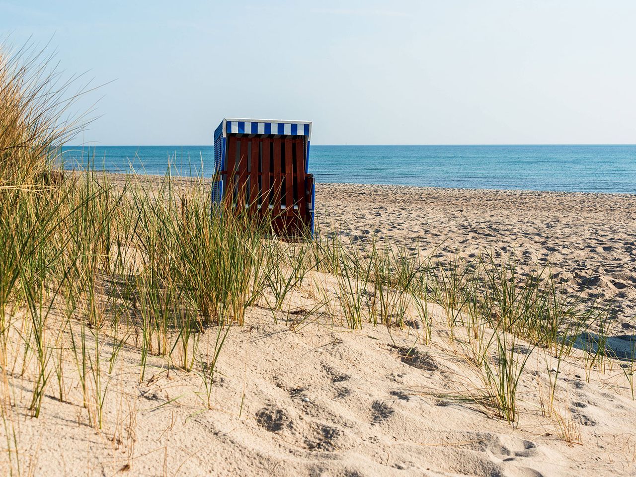Strandkorb in Damp