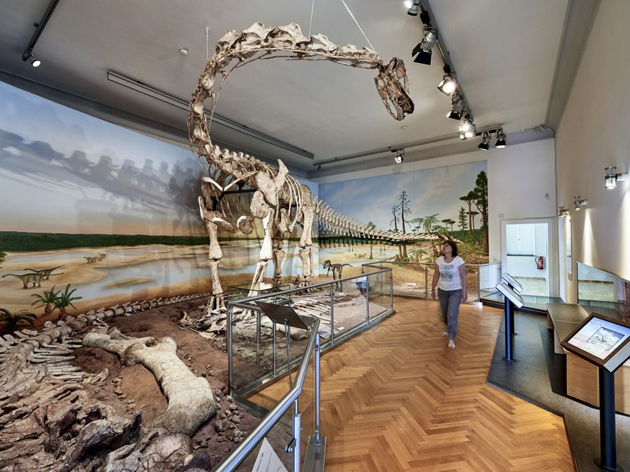 Ausstellungsraum im Naturhistorischen Museum in Braunschweig