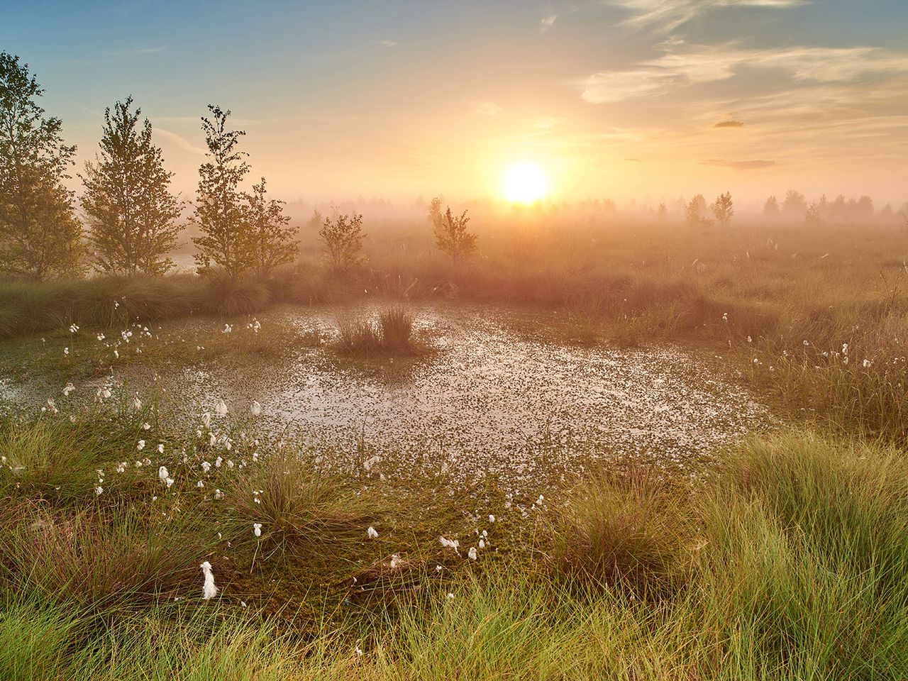Sonnenaufgang über dem Diepholzer Moor