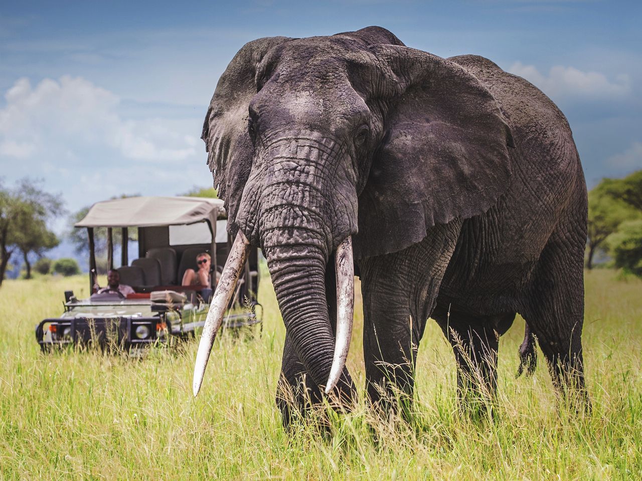 LAKE MANYARA