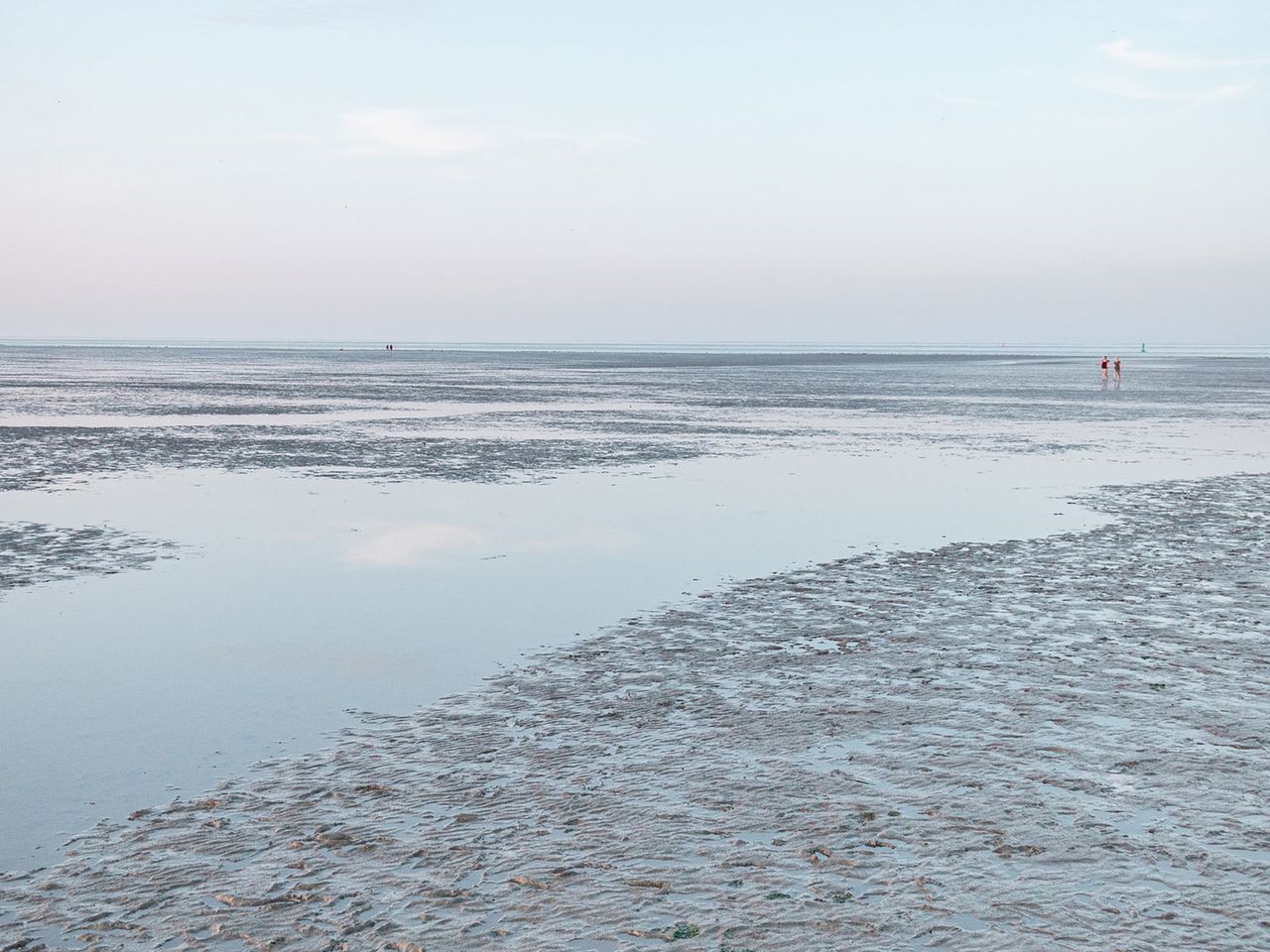 Bei Ebbe wandern Menschen durch das niedersächsische Wattenmeer.
