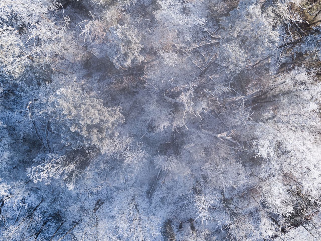 Waldbaden im Winter, Symbolfoto, Luftaufnahme