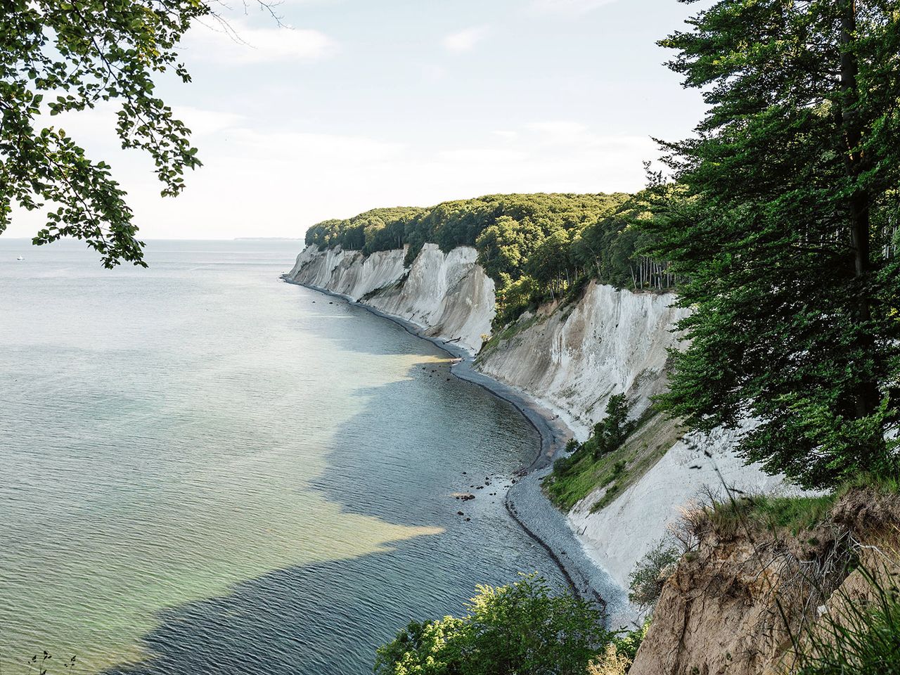 Kreidefelsen Königsstuhl auf Rügen, im Nationalpark Jasmund