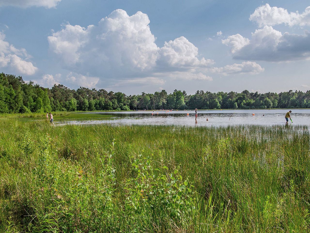 Menschen baden im Waldsee Großer Bullensee
