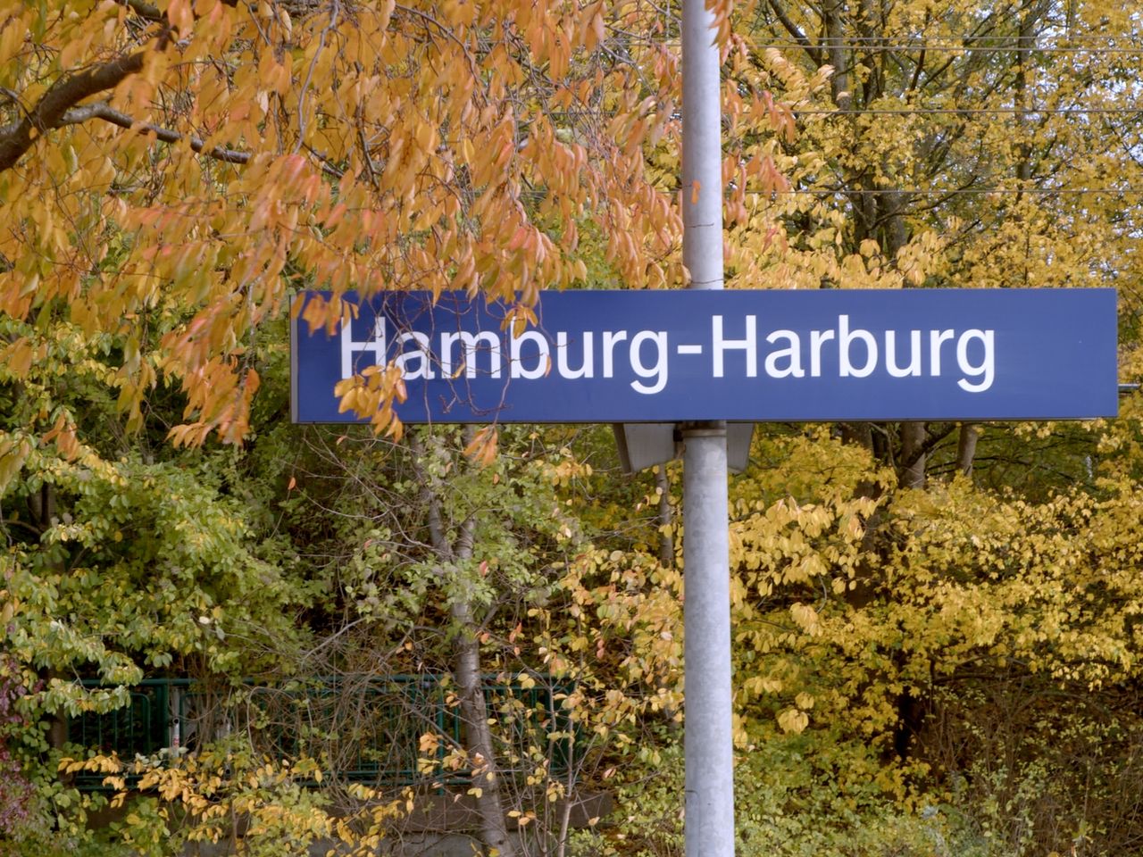 Blühende Natur am Bahnhof Hamburg-Harburg