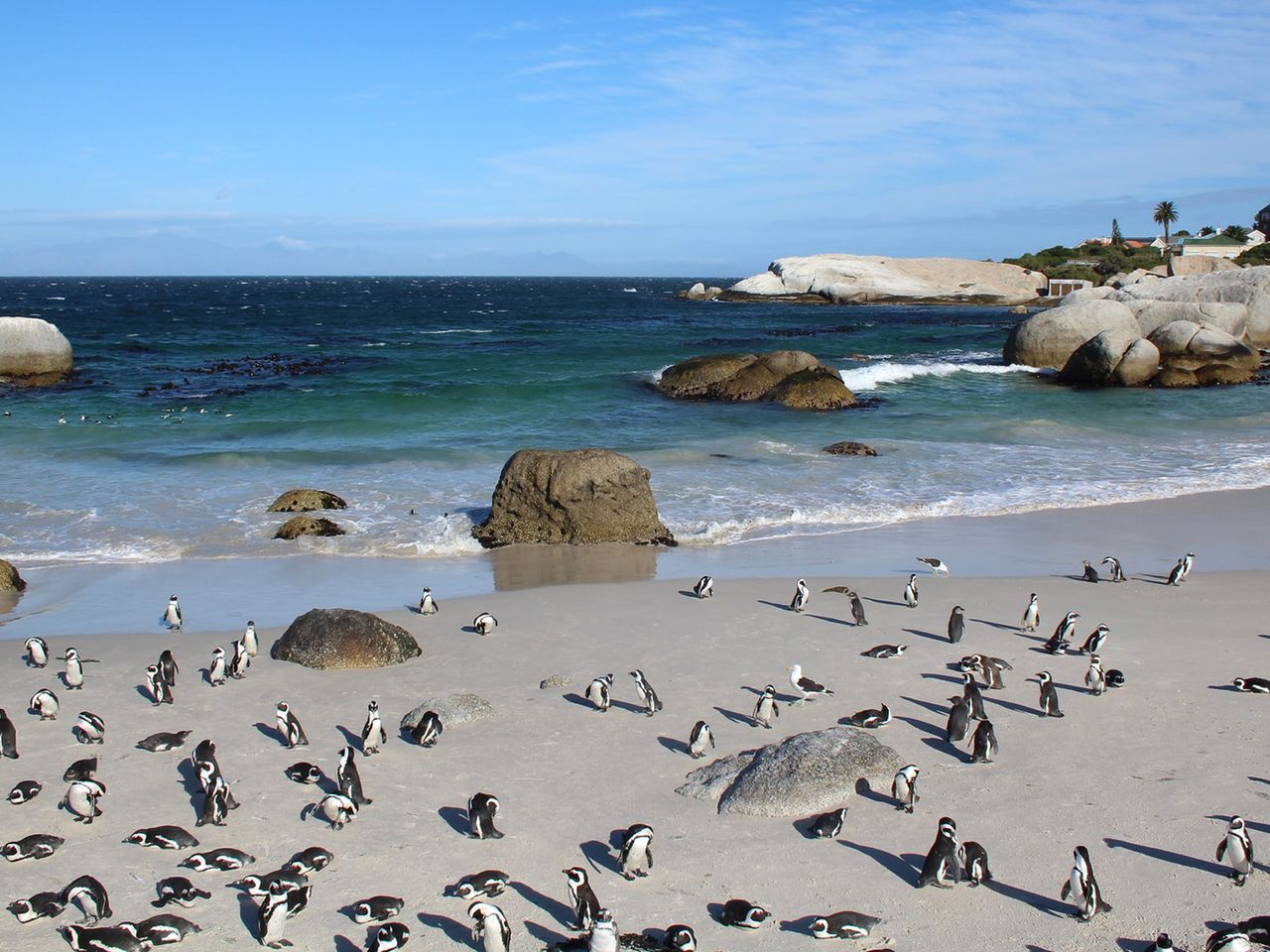 Südafrika Simons Town
