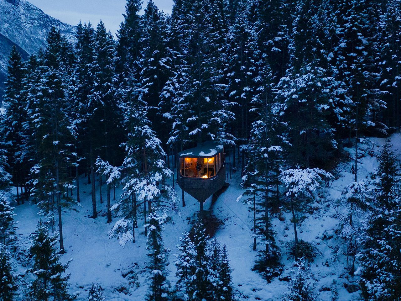 Blick von oben auf ein Luxus-Baumhaus