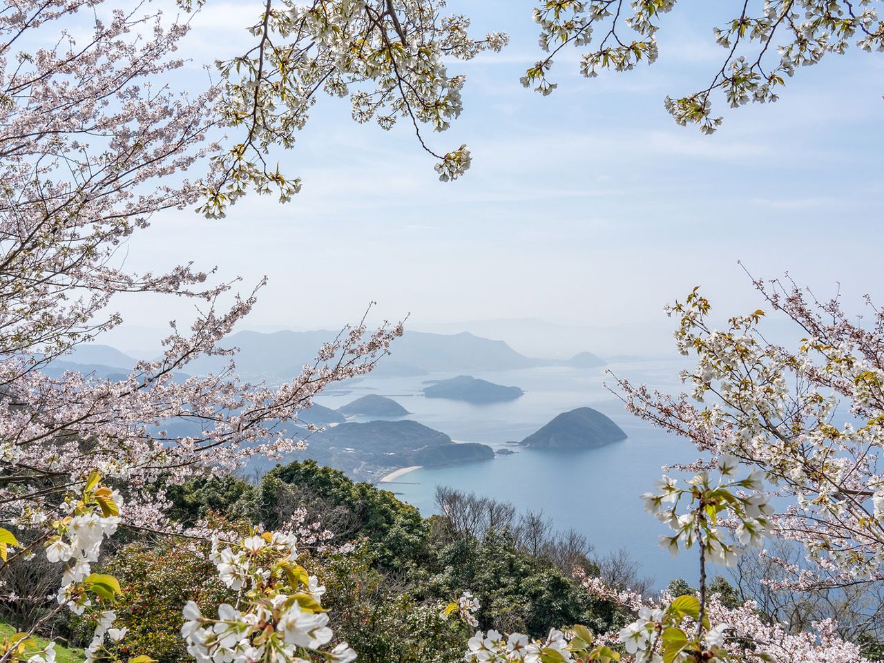 Kirschblüte in Japan, rahmt das Binnenmeer von Shiudeyama ein