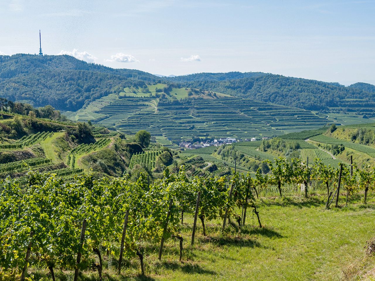 Kaiserstuhl, Badische Weinstraße