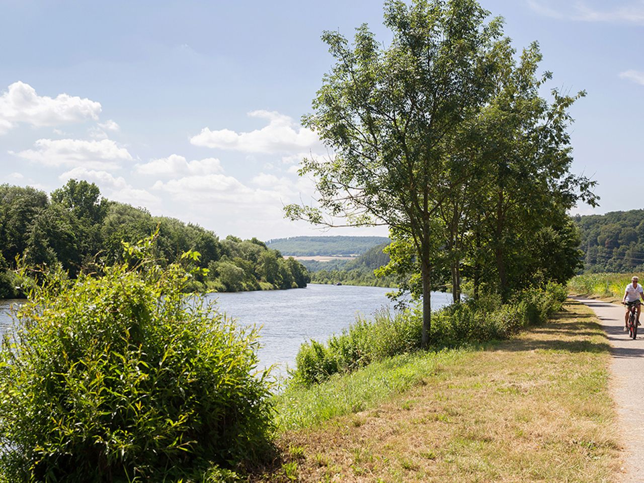 Saar