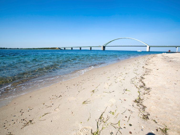 Fehmarnsundbrücke Ostsee, Flügge-Strand