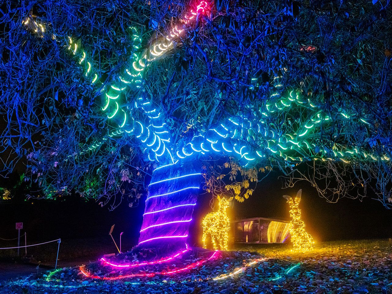 Lichtinstallationen im Berliner Christmas Garden