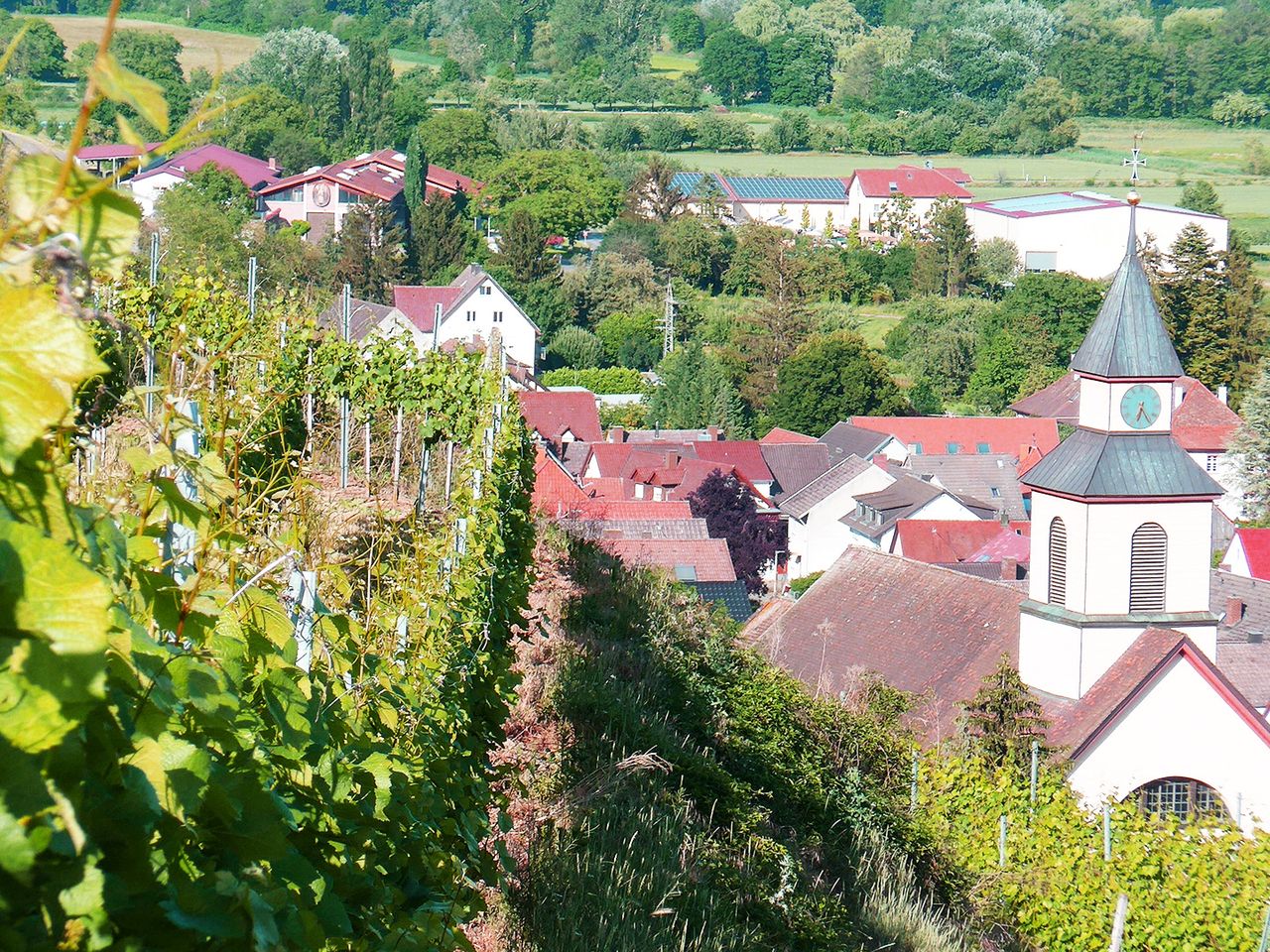 Ihringen an der Badischen Weinstraße