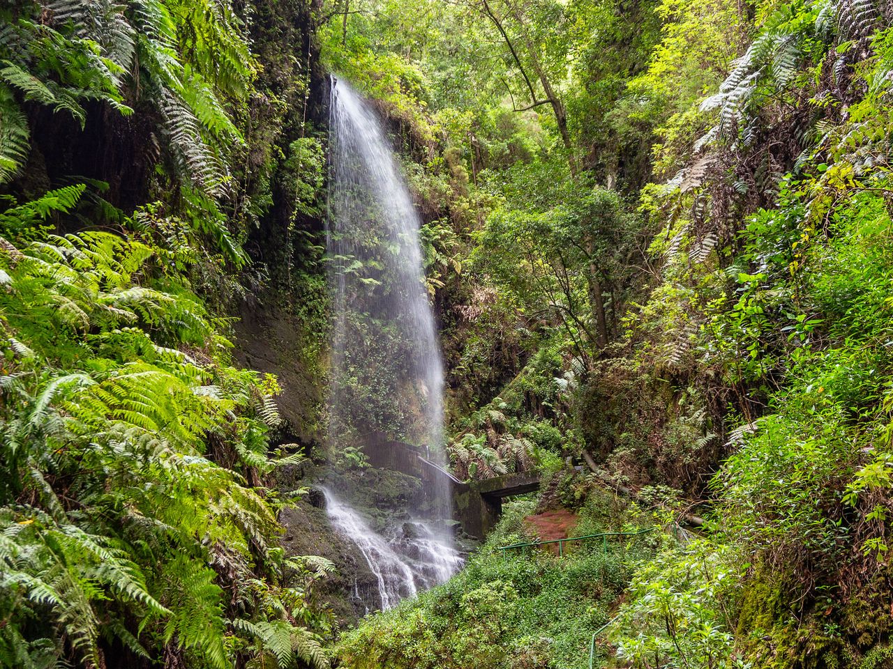 Wasserfall Los Tilos auf La Palma