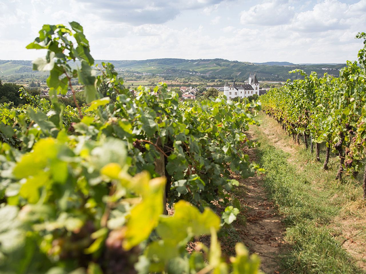Weingut Karl-Petgen