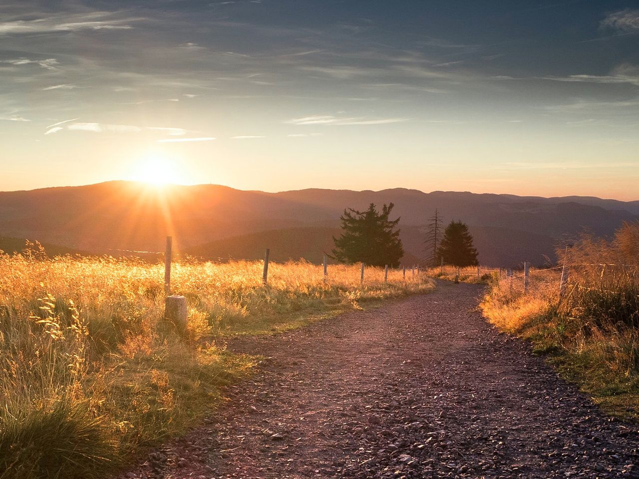 Schwarzwald Camping
