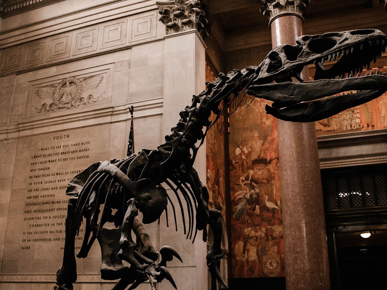 New York Museum of American Natural History
