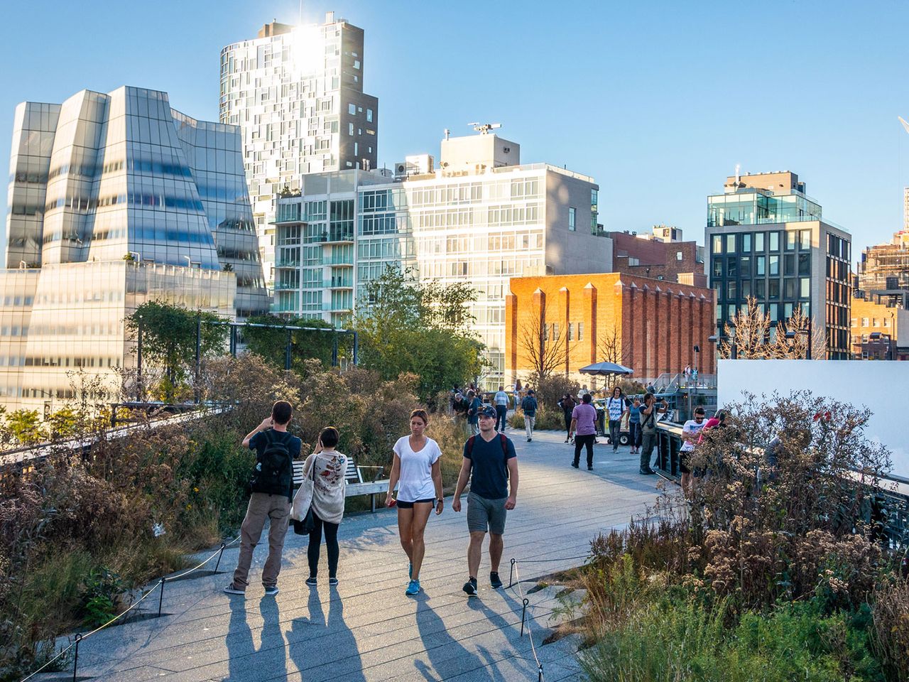 High Line Park in New York