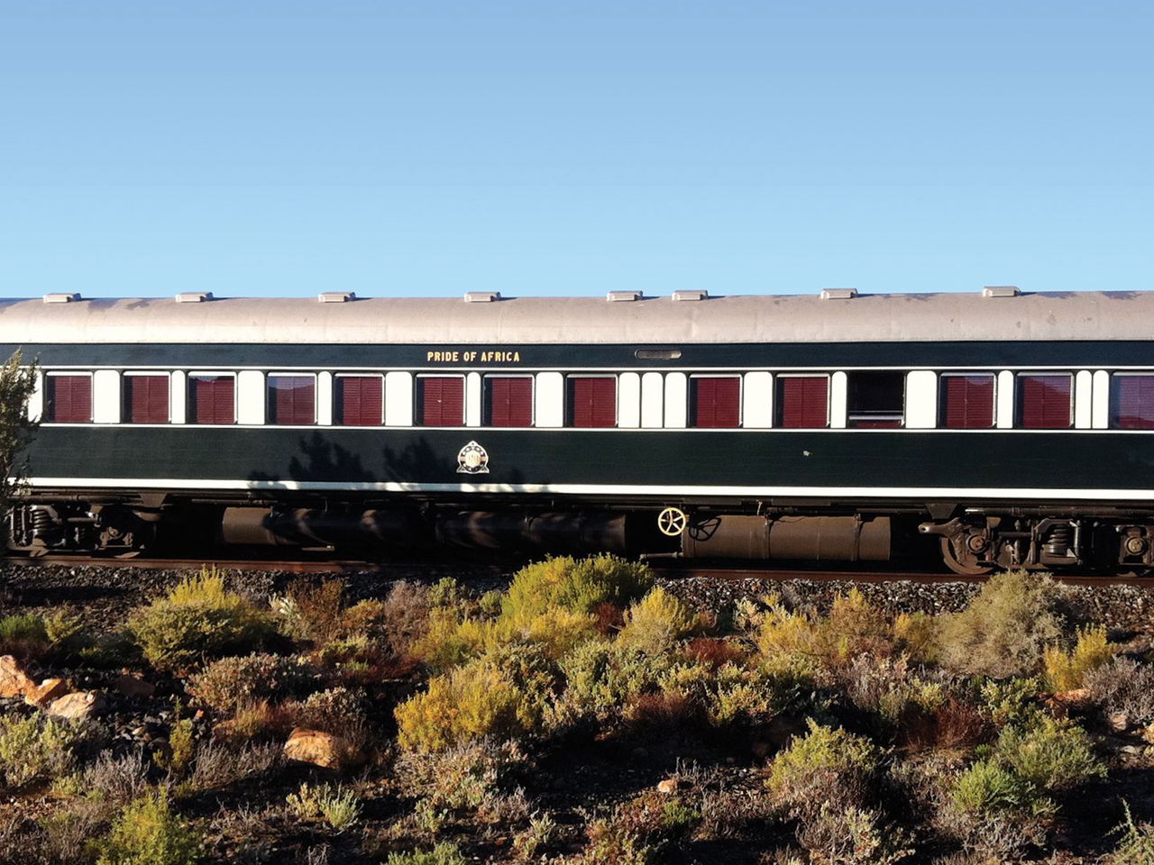 Waggon des Pride of Africa