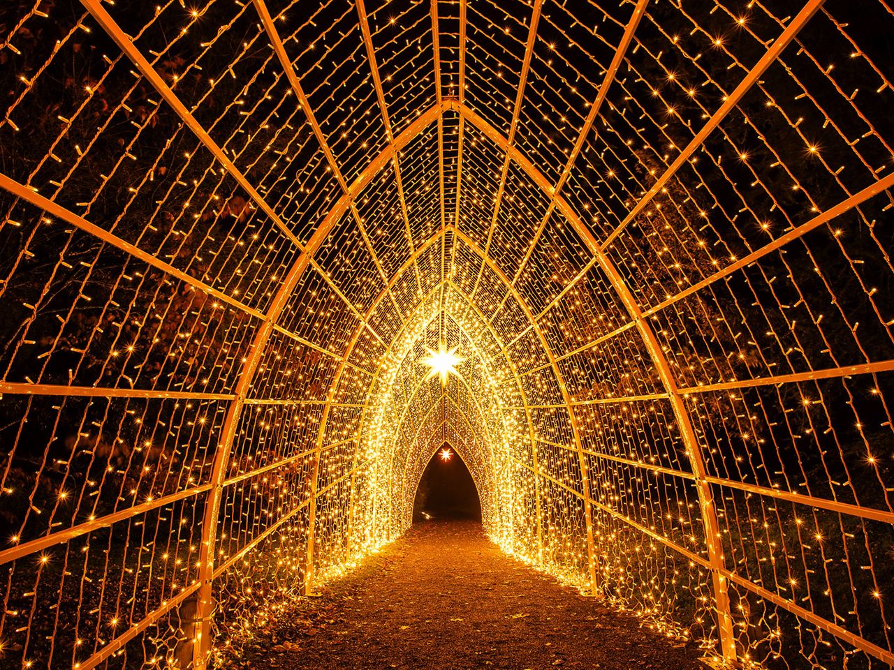 Lichtertunnel auf der Bodensee-Insel Mainau