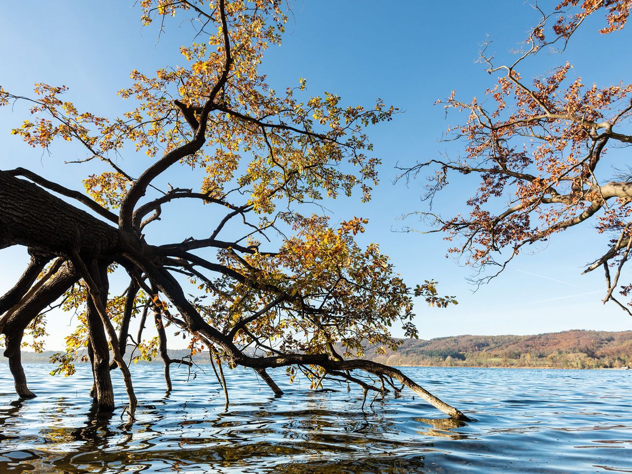 Laacher See