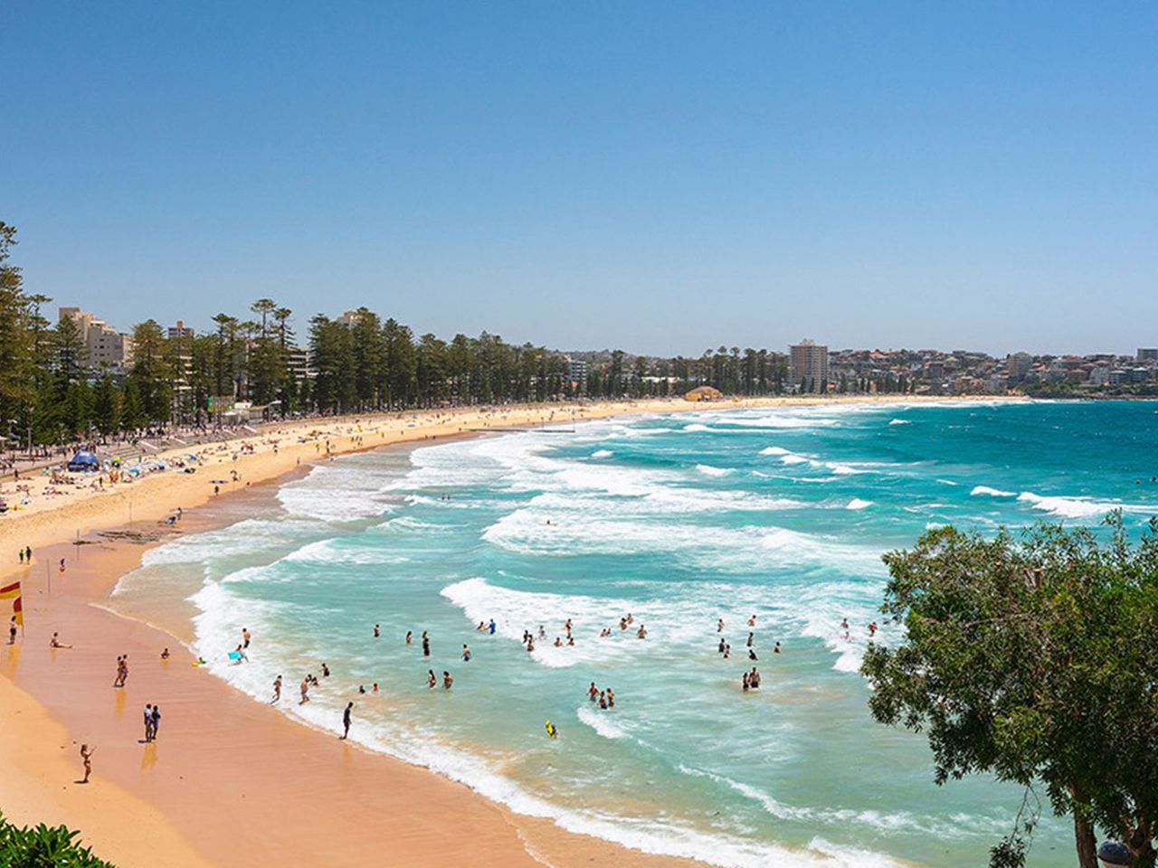 Manly an den Northern Beaches, Shelly Beach