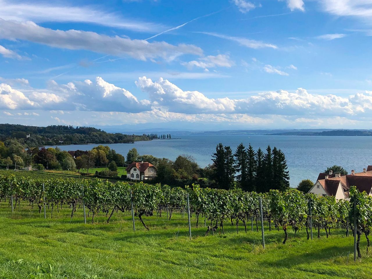 Bodenseegürtelbahn