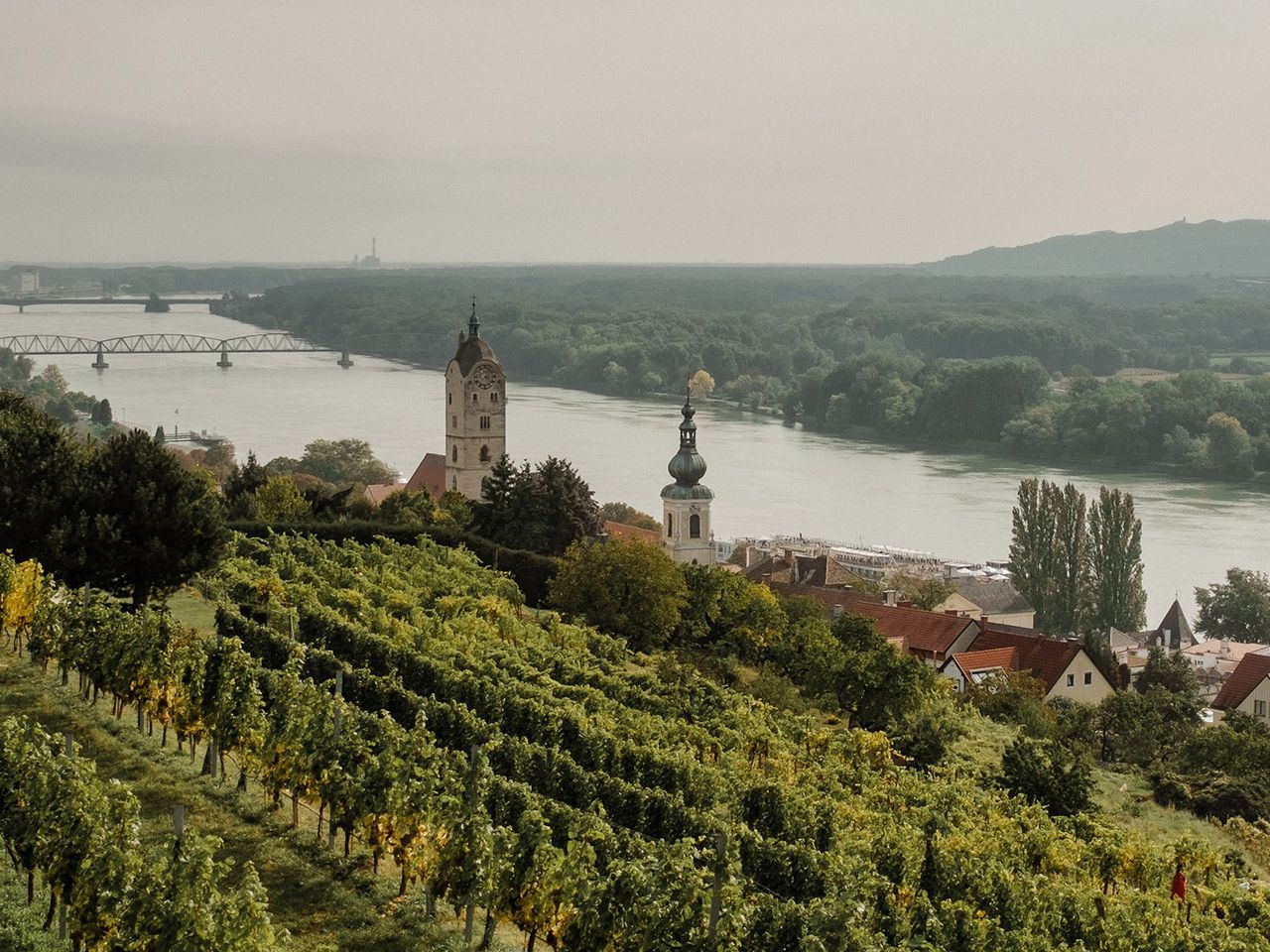 Das Donau-Ufer im österreichischen Wachau