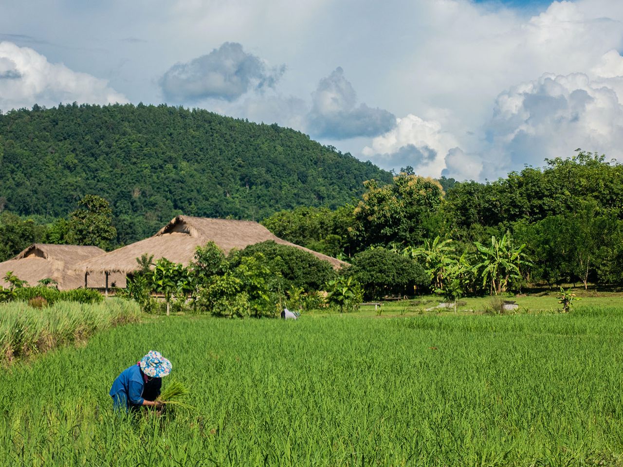 Thailand, Zugehörige des Volkes der Lisu bei der Landwirtschaft
