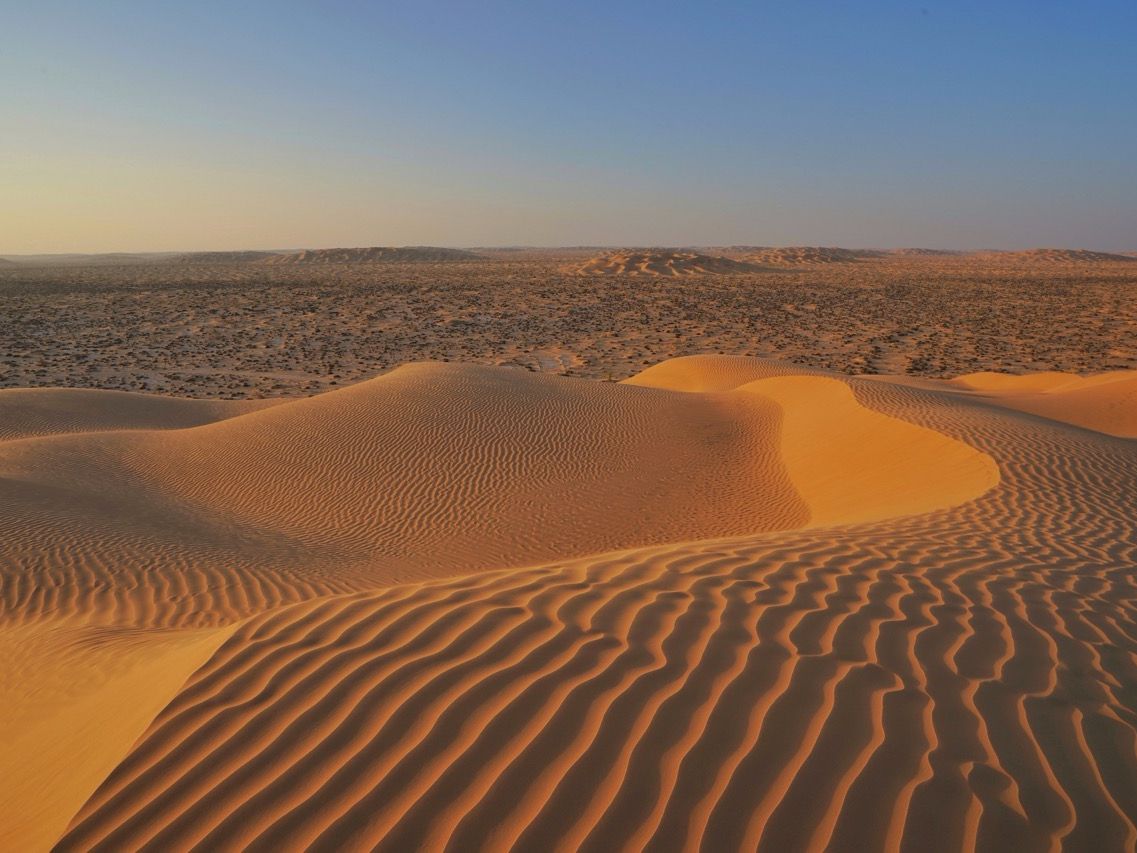 Endlose Dünen in der Rub al-Khali Oman