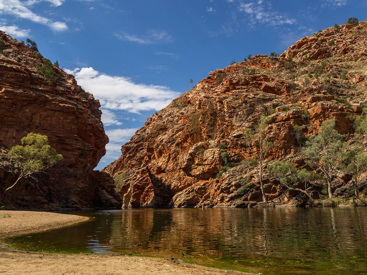 Natur in Alice Springs