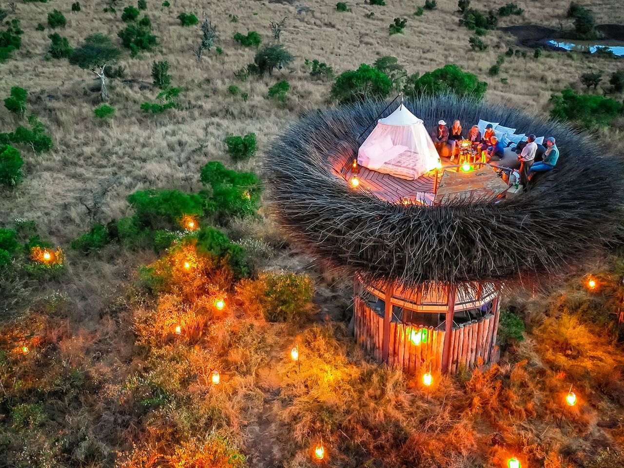 Birdsnest in Laikipia, Kenia