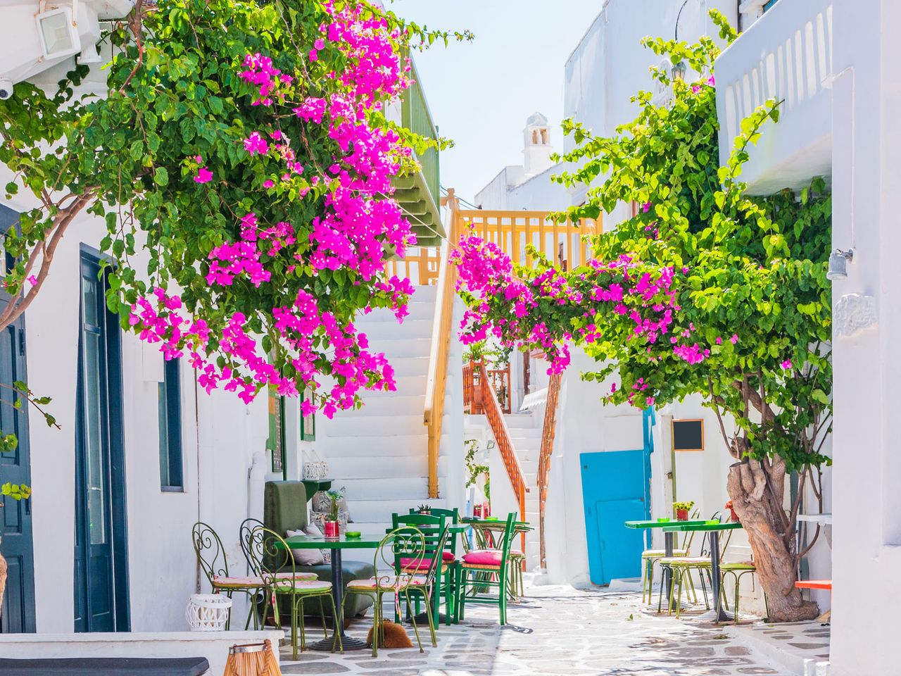 Gasse mit Blumen in Mykonos-Stadt