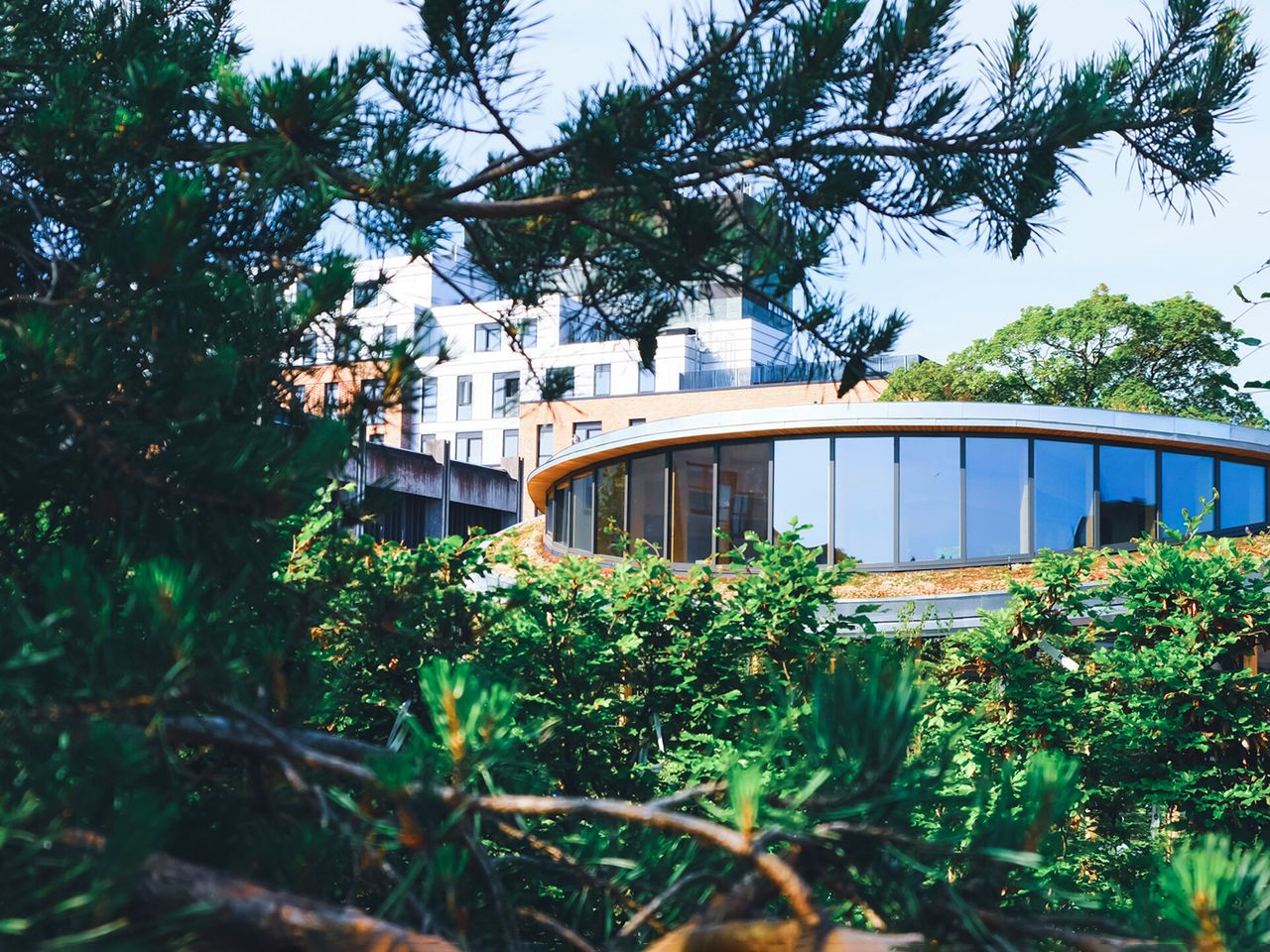 Das geschwungene Dach des „Hans-Christian-Andersen-Hauses“