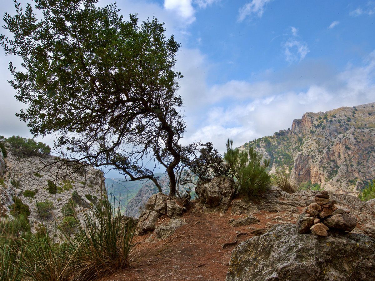 Tramuntana Mallorca